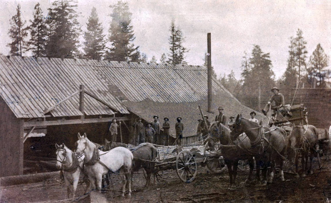 E.S. Sweet sawmill. Near Keuterville, Idaho.