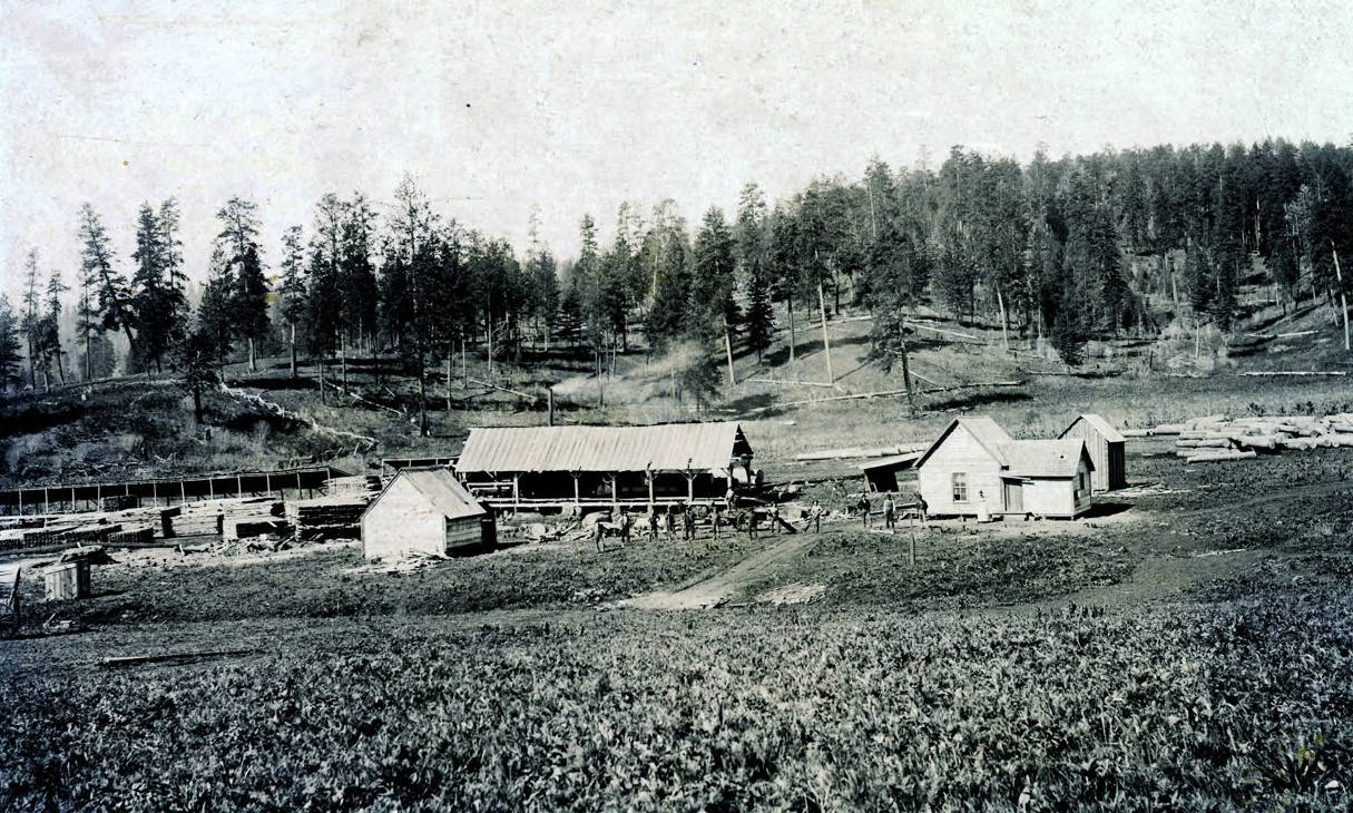 E.S. Sweet sawmill. Near Keuterville, Idaho.