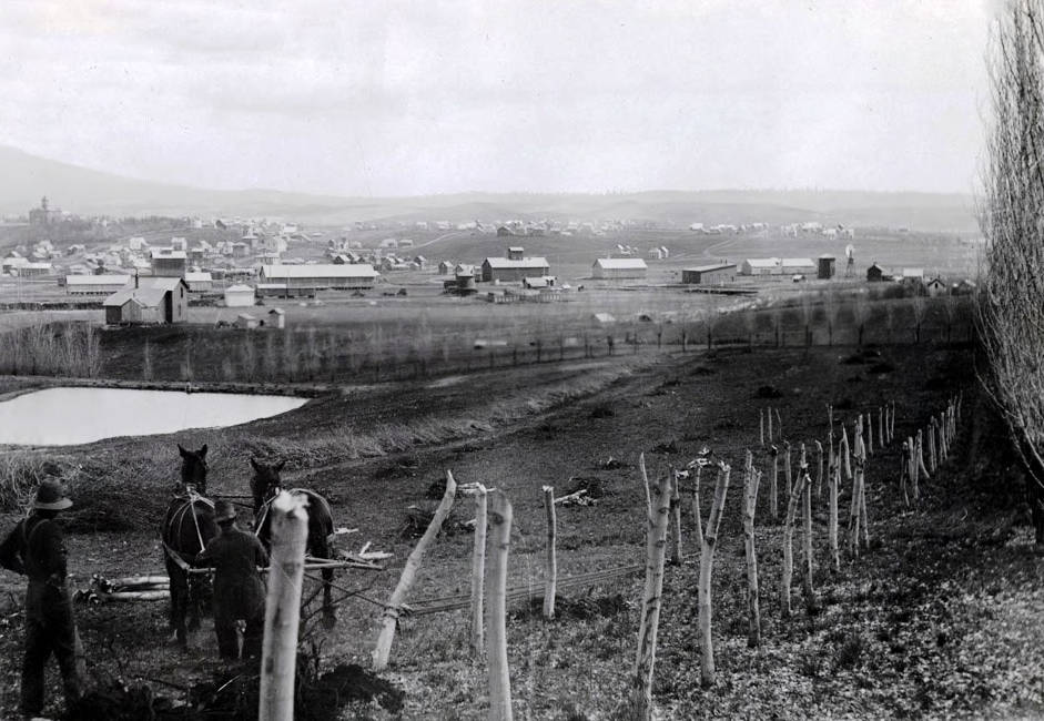 Panoramic view from campus of Moscow, Idaho.