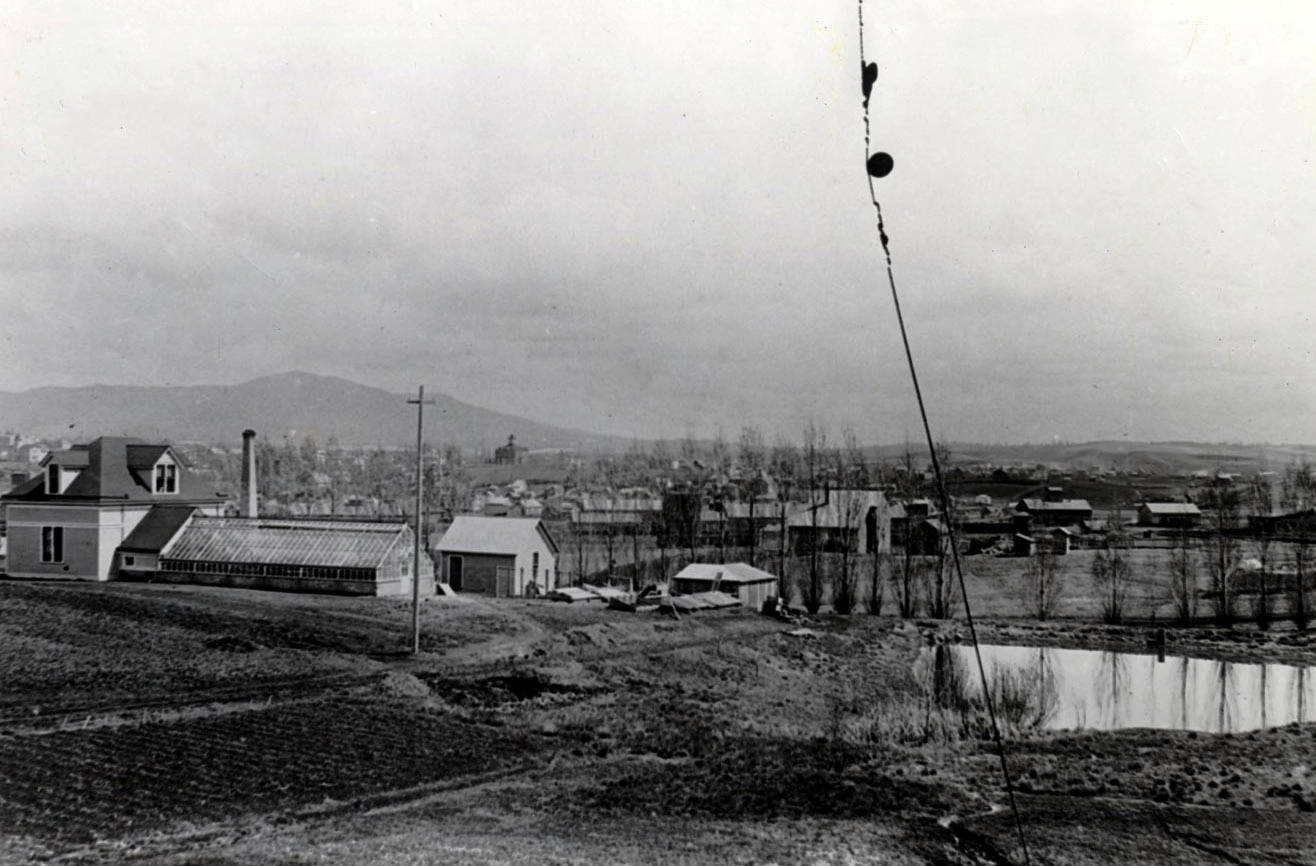 Panoramic view from campus of Moscow, Idaho.