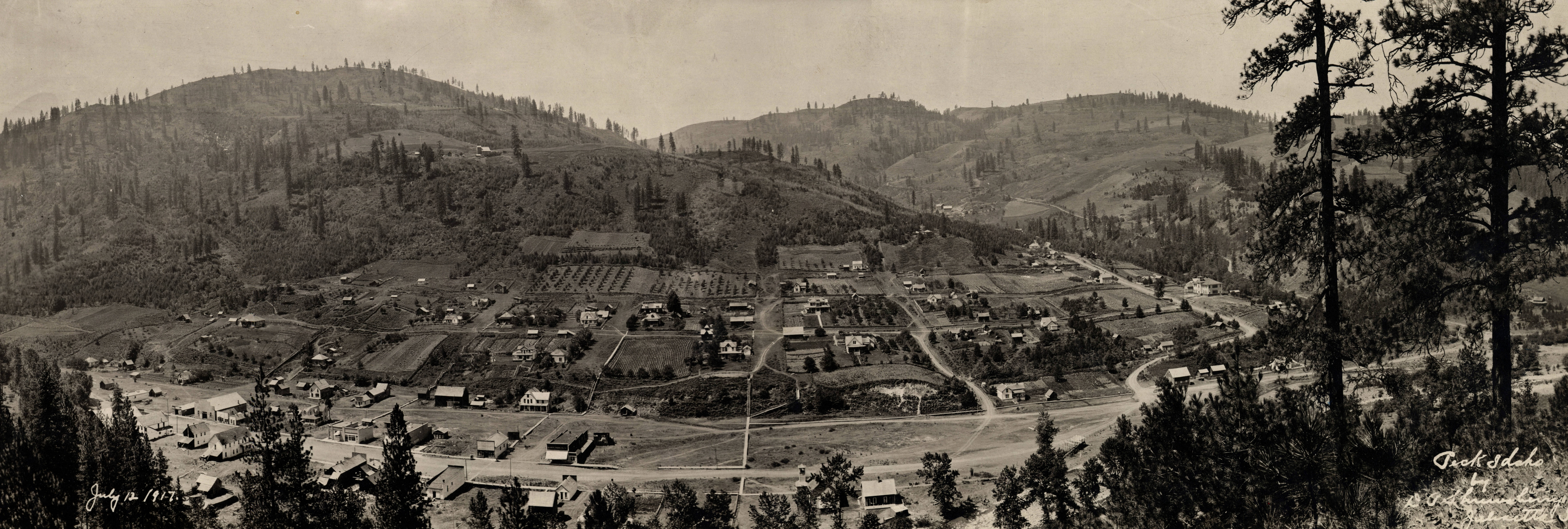 Panoramic view of Peck, Idaho taken by D.P. Shrewsberry (1880-1942)