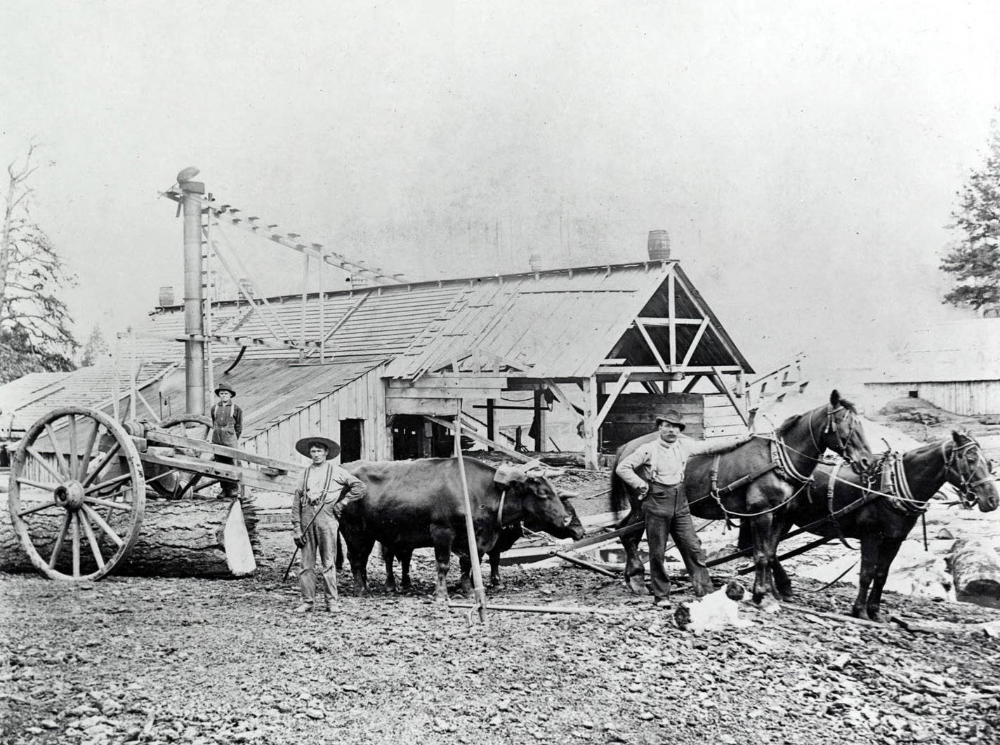 Erickson's Mill. Reubens, Idaho.